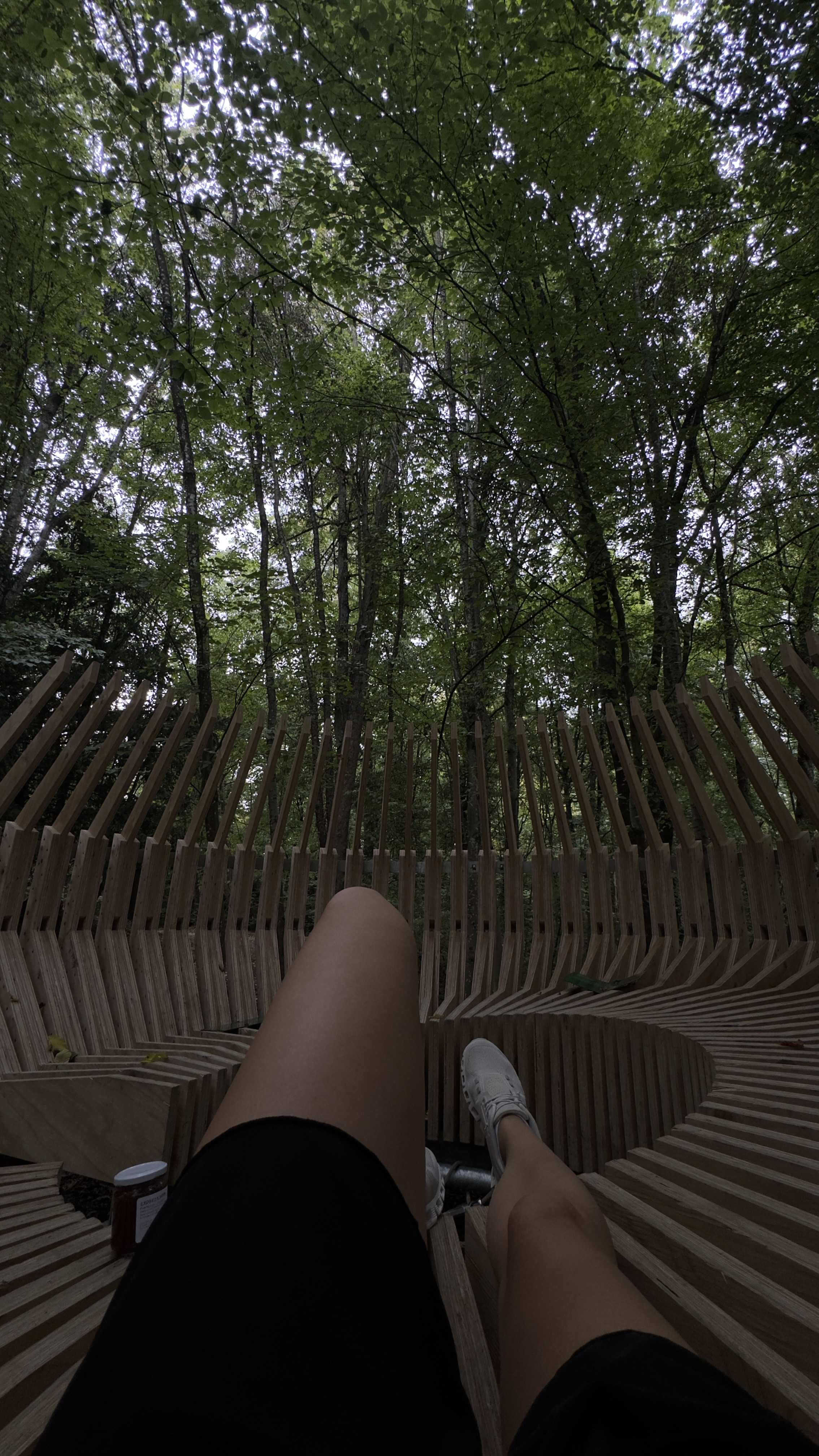 Wooden circular bench in the forest near Seefeld